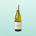 De Kleine Schorre Auxerrois