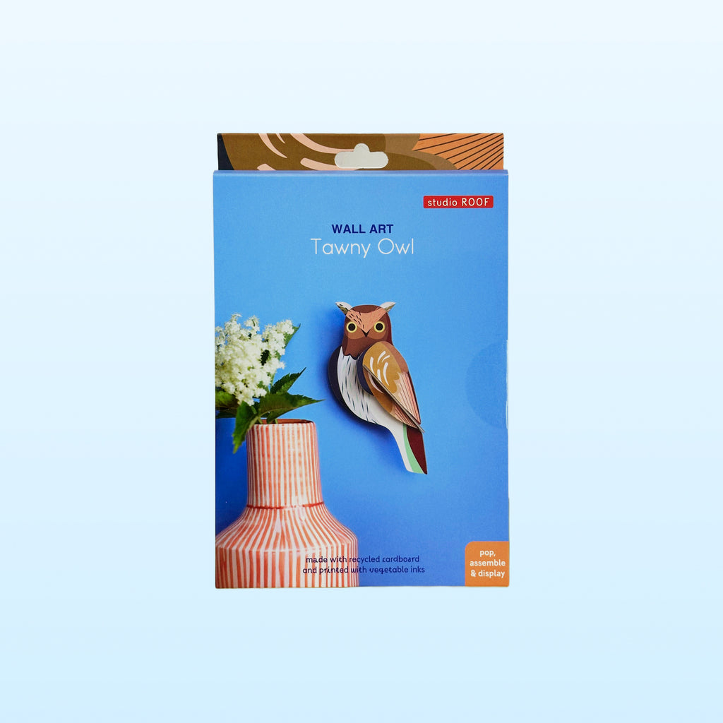 Studio Roof wall art Tawny Owl